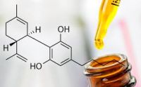 Методы получения КБД / CBD масла