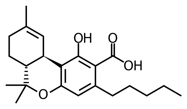 THCA kanabinoid tetrahydrocannabinolova kyselina